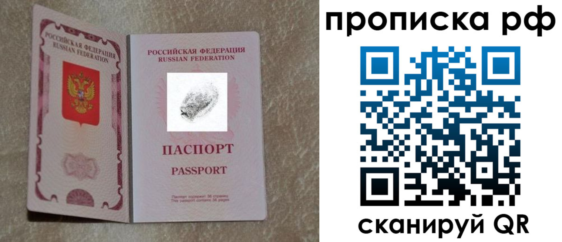 прописка поиск в Высоковске